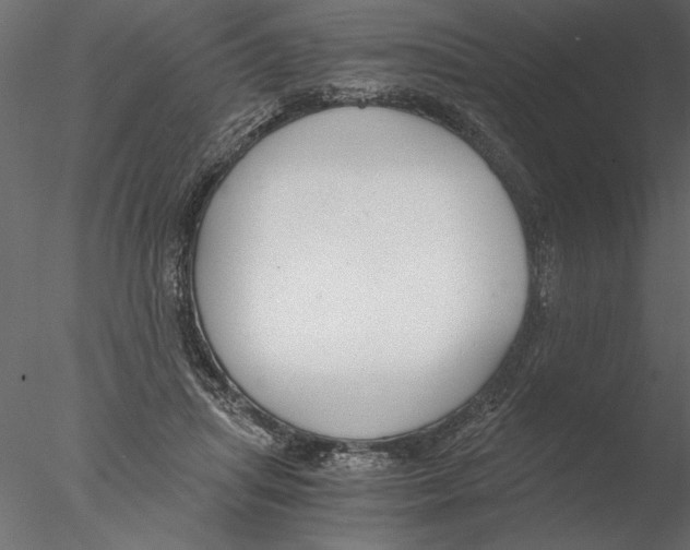 X0000076390455200611031659