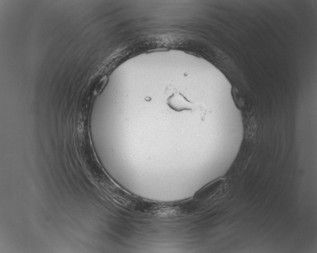 X0000076390456200611031659