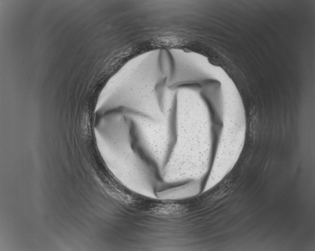 X0000076390459200611031659