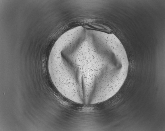 X0000076390462200611031700