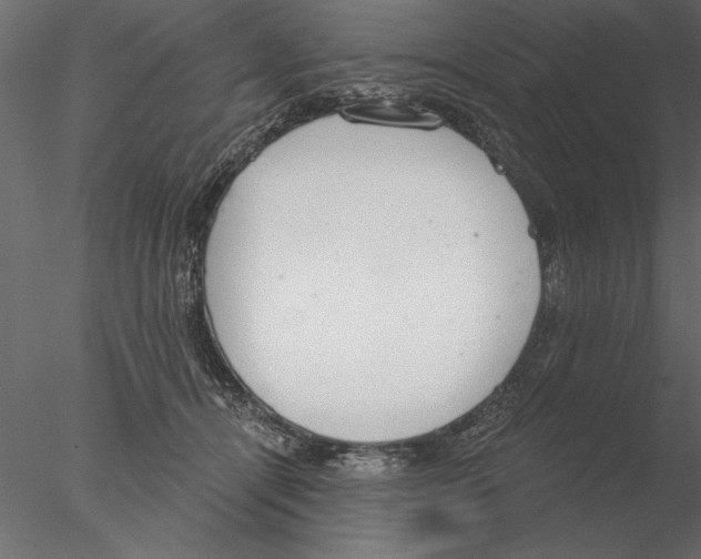 X0000076390464200611031700