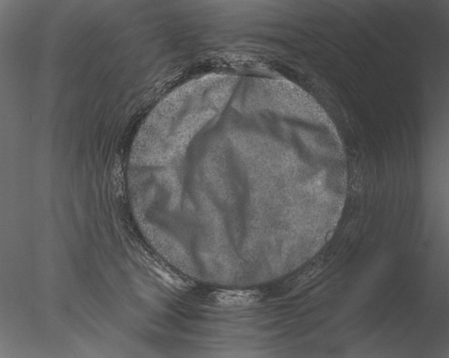 X0000076390465200611031700