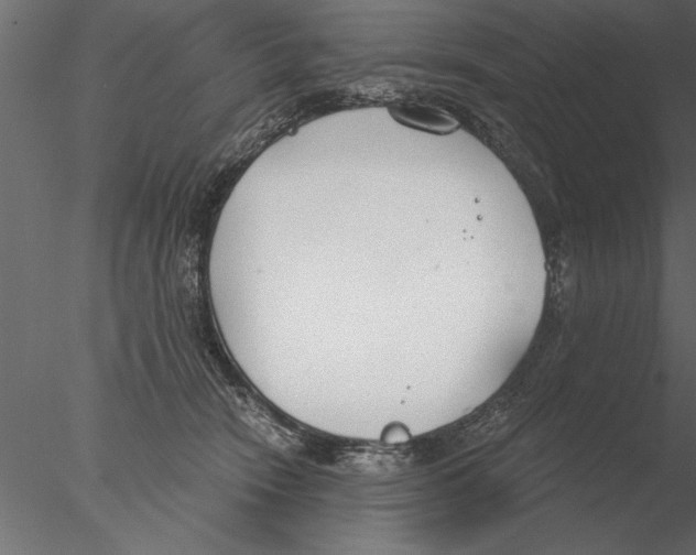 X0000076390466200611031700