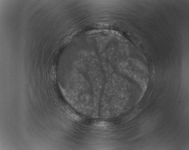 X0000076390467200611031700