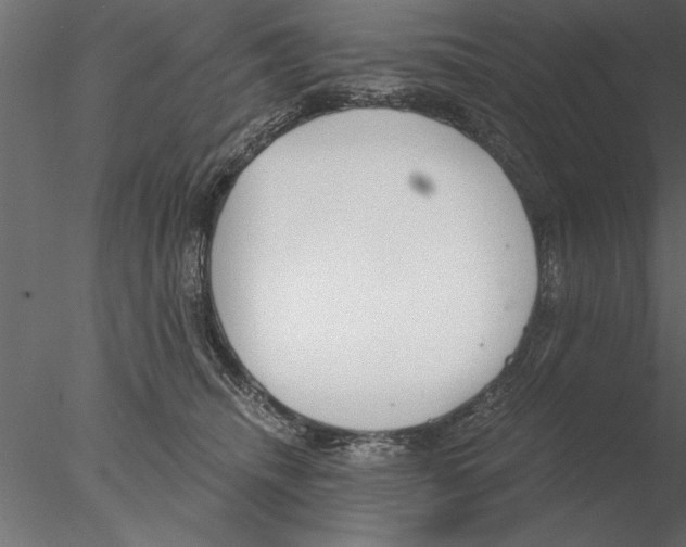 X0000076390468200611031700