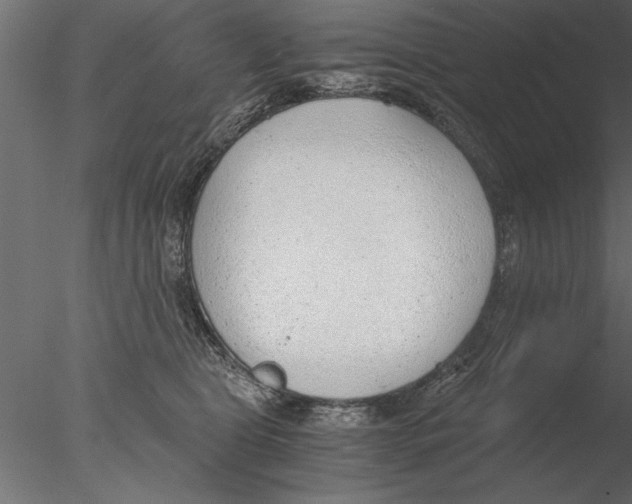 X0000076390469200611031700