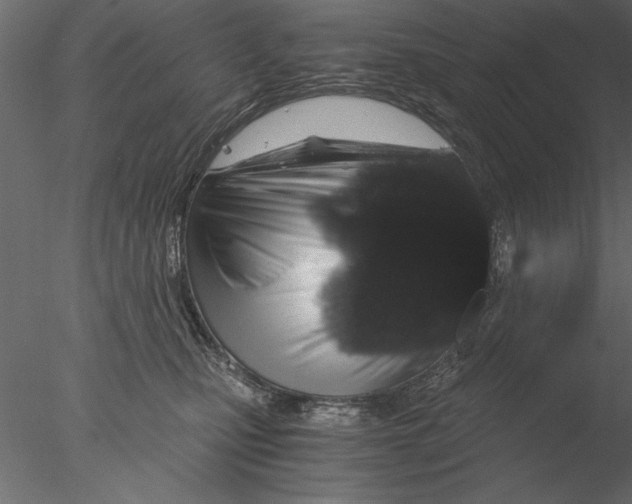 X0000076390471200611031700