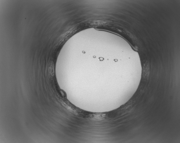 X0000076390474200611031700