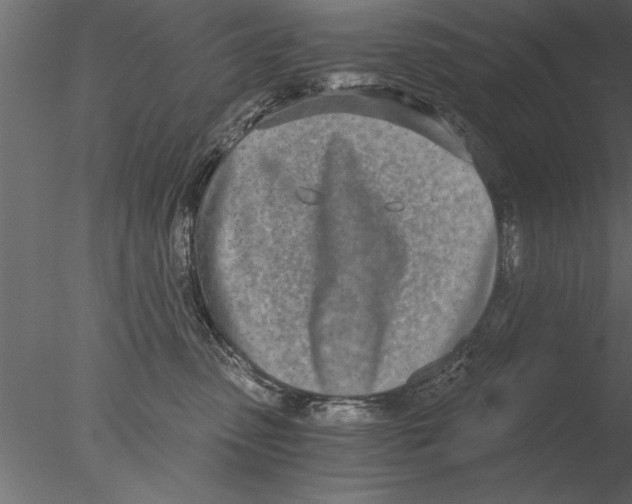 X0000076390475200611031700