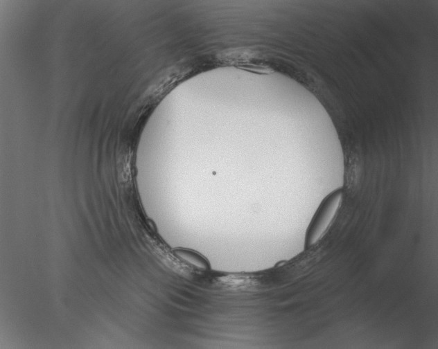 X0000076390477200611031700