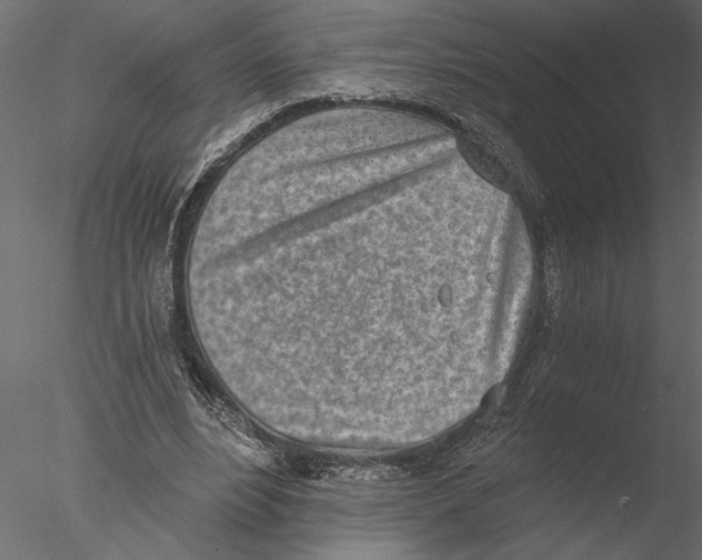 X0000076390488200611031659