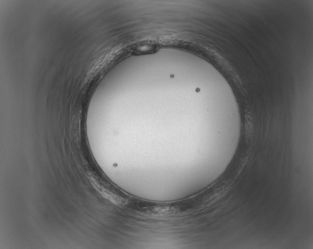 X0000076390493200611031659