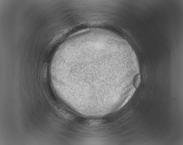 X0000076390495200611031659