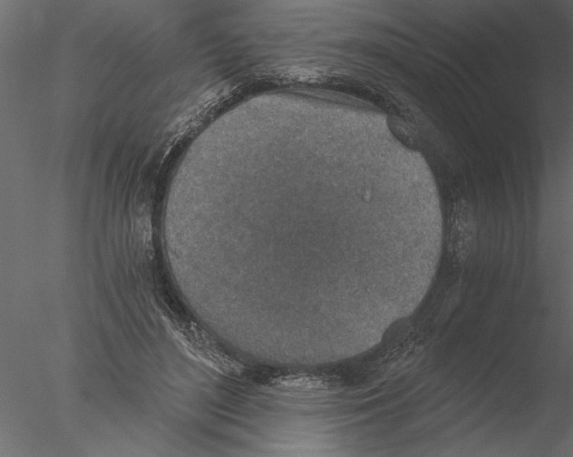 X0000076390500200611031659