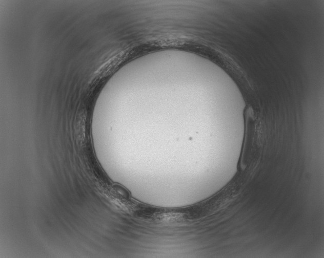 X0000076390501200611031659