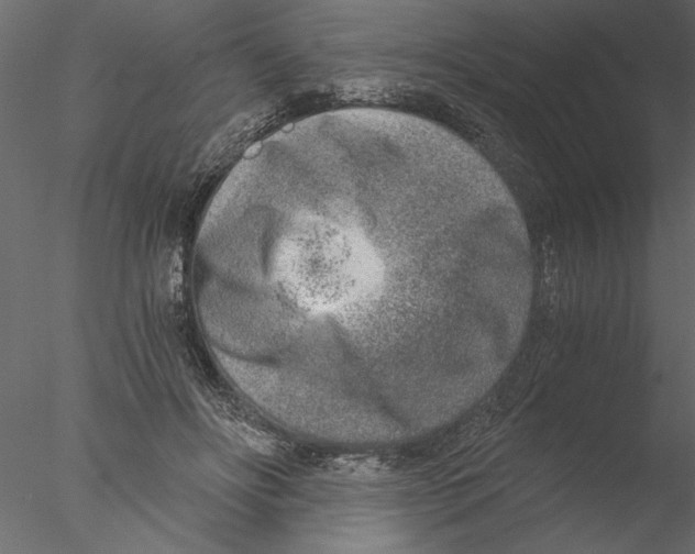 X0000076390502200611031659