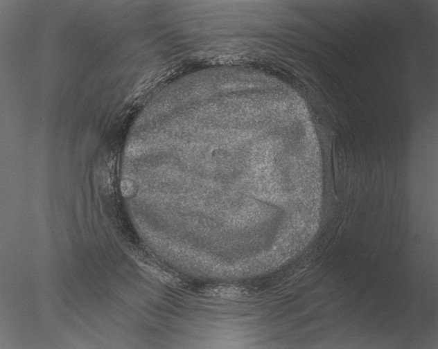 X0000076390503200611031659