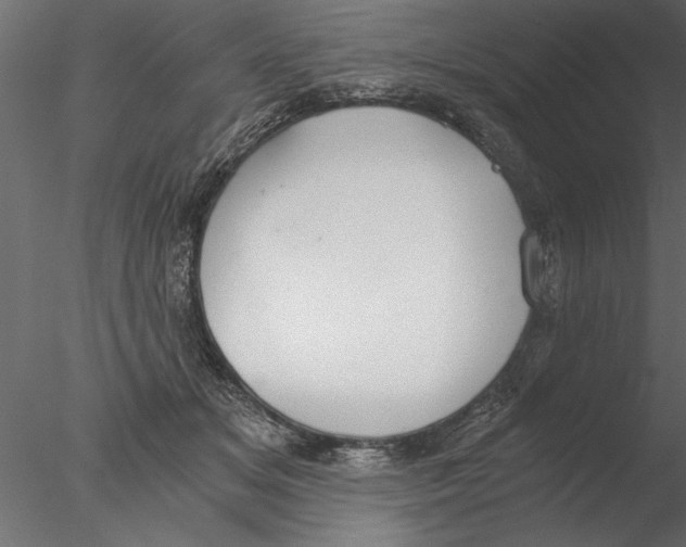 X0000076390509200611031659