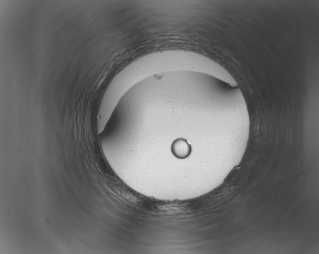 X0000076390516200611031658