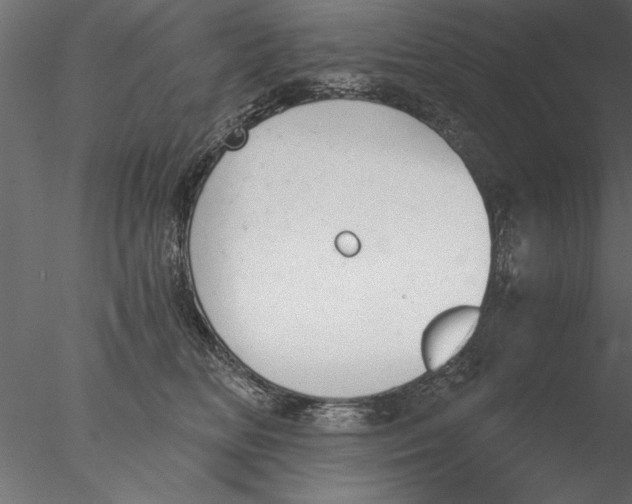 X0000076390518200611031658