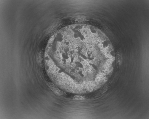 X0000076390519200611031658