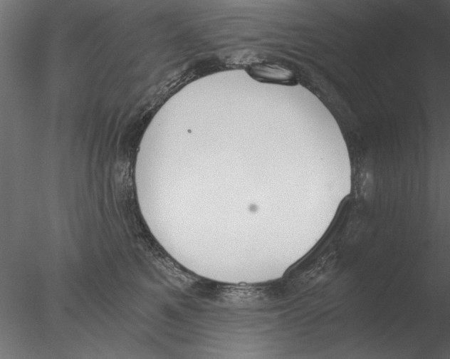 X0000076390521200611031658