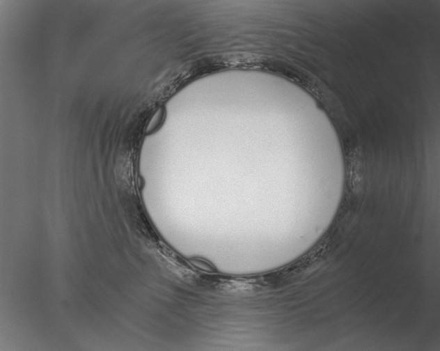 X0000076390523200611031658