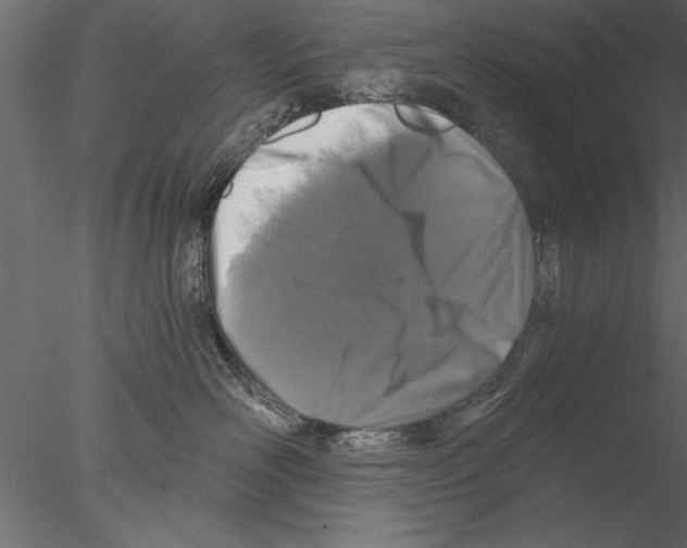 X0000076390526200611031658