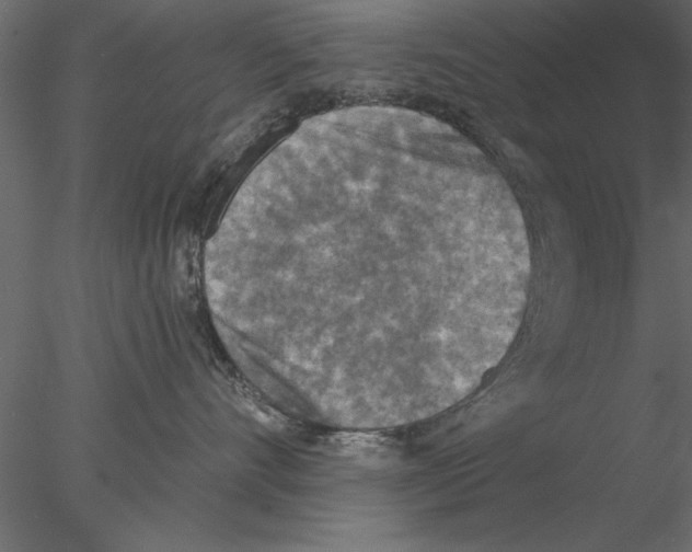 X0000076390528200611031658