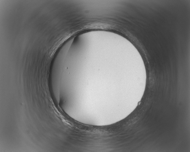 X0000076390529200611031657