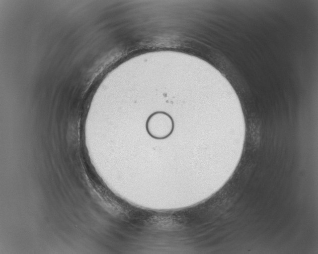 X0000076390534200611031658