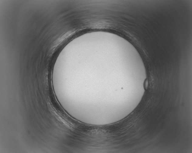 X0000076390535200611031658