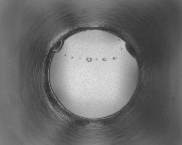 X0000076390536200611031658