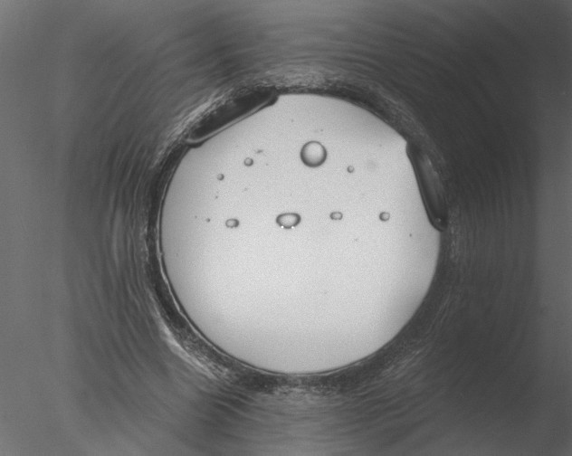 X0000076390538200611031658