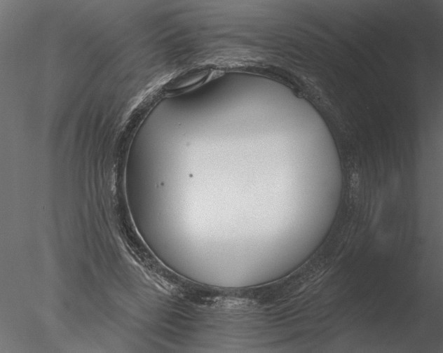 X0000076390539200611031658