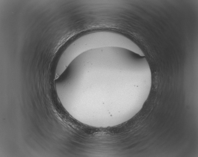 X0000076390544200611031658