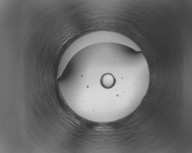 X0000076390556200611031658