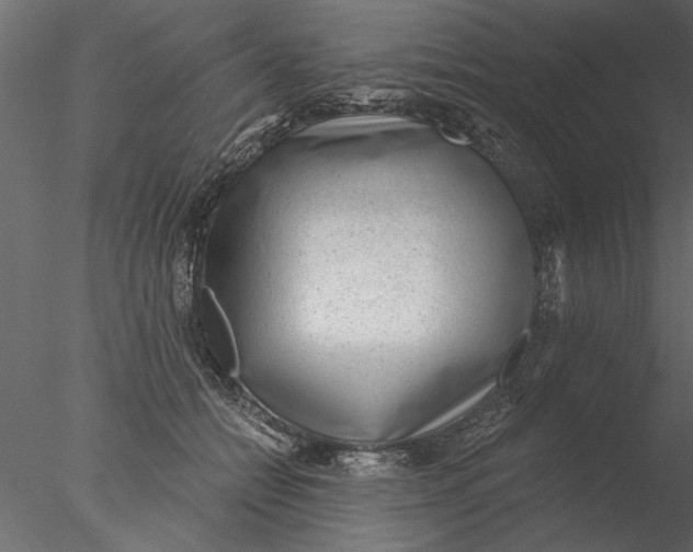 X0000076390558200611031658