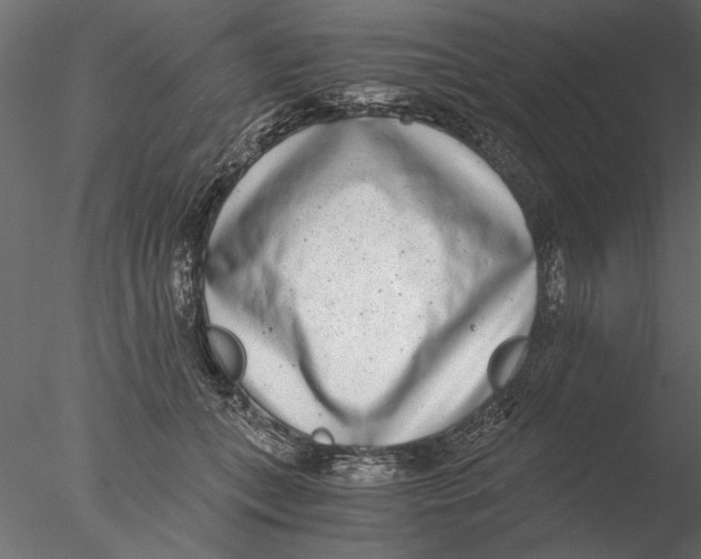 X0000076390559200611031658