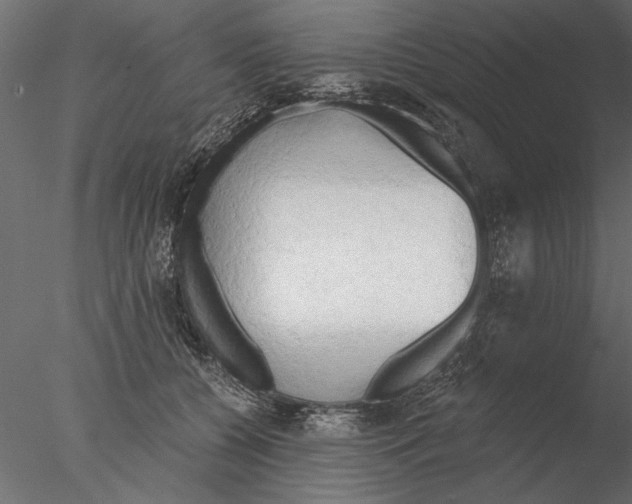 X0000076390560200611031658