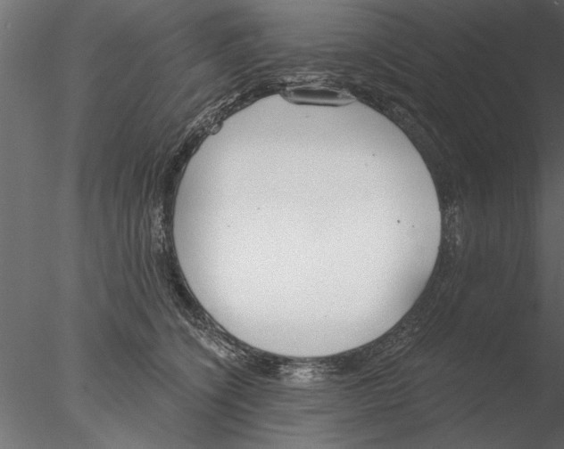 X0000076390564200611031658