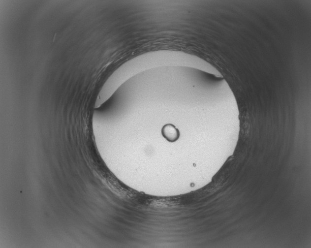 X0000076390568200611031658