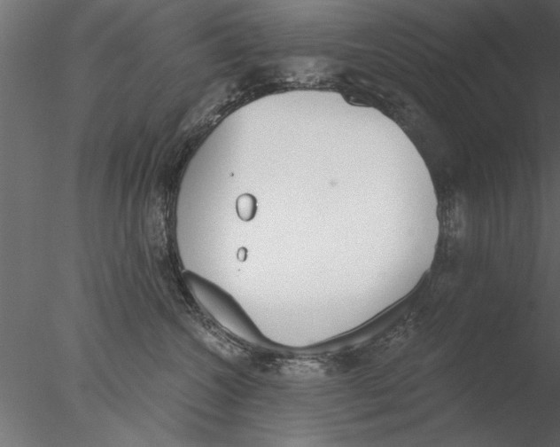 X0000076390572200611031658