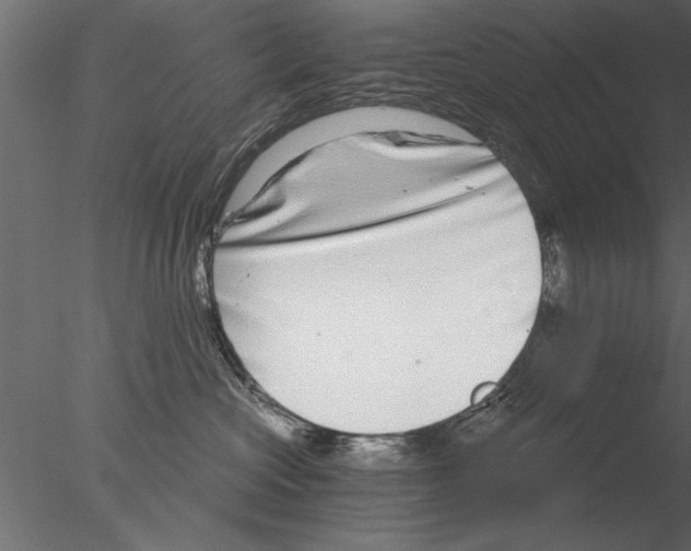 X0000076390573200611031658