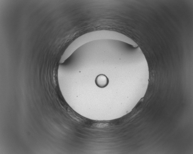 X0000076390575200611031658