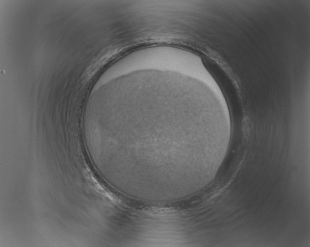 X0000076390577200611031657