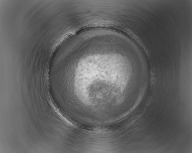 X0000076390581200611031657