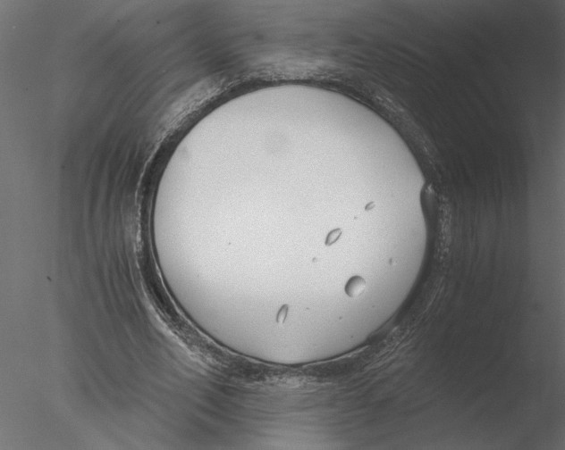 X0000076390582200611031657