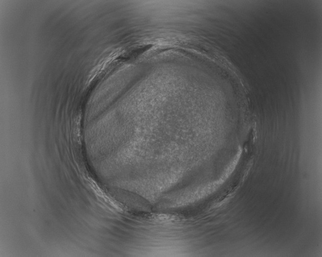 X0000076390585200611031657