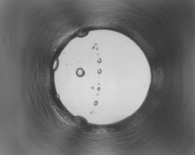 X0000076390588200611031657